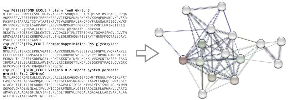 STRING: Functional Protein Association Networks